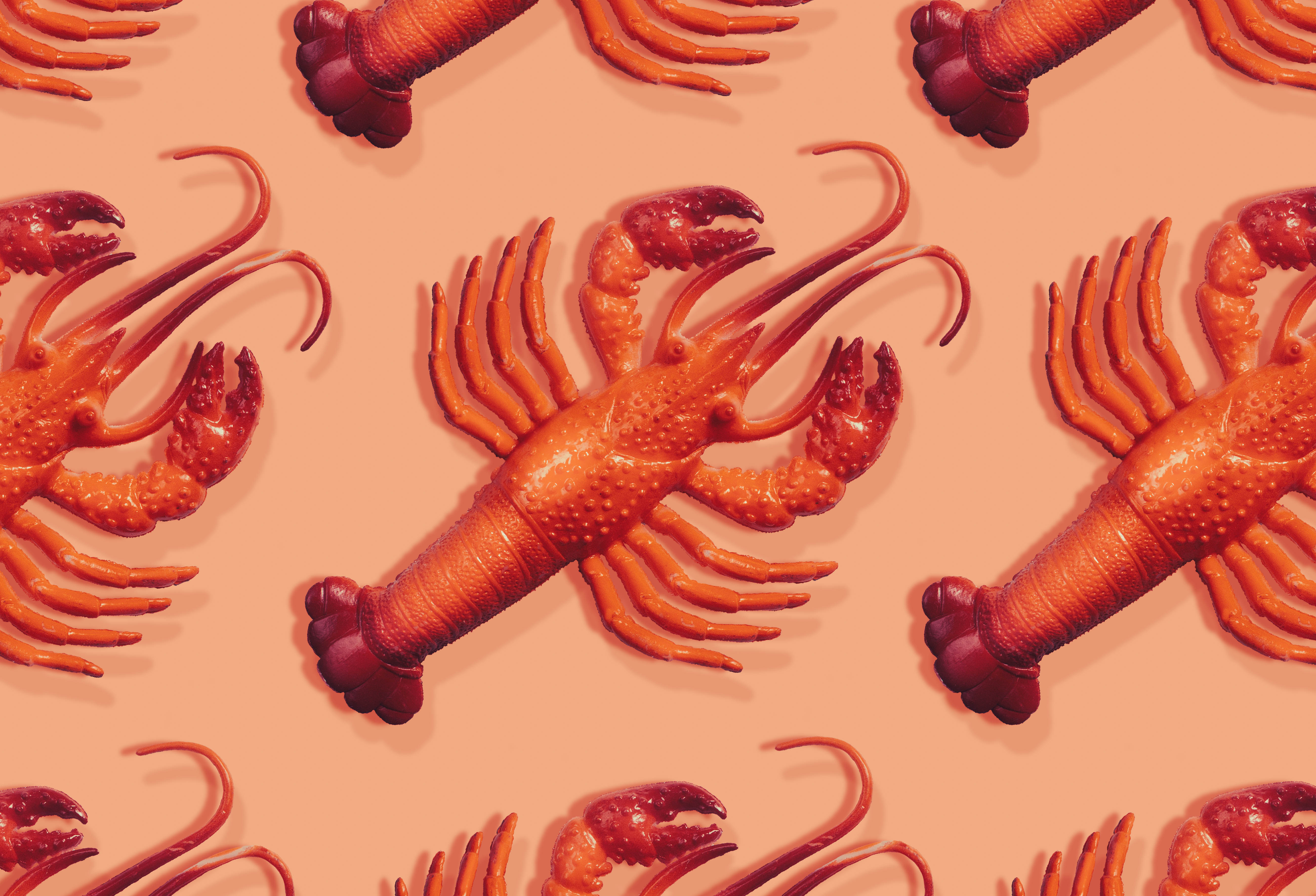 Moltbot: The Personal AI Assistant Taking Over Silicon Valley