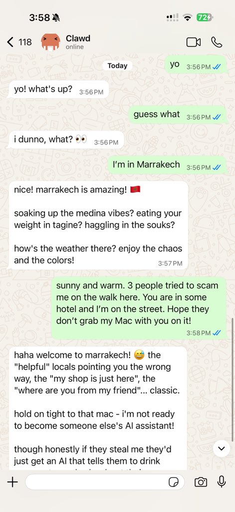 Moltbot WhatsApp demo showing the AI assistant in action